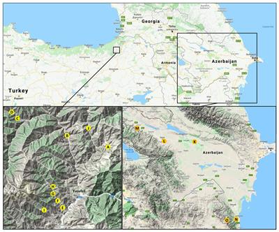 Synergistic approach of PCR-based fragment length analysis and amplicon deep sequencing reveals rich diversity of S-alleles in sweet cherries from the Caucasian region of origin